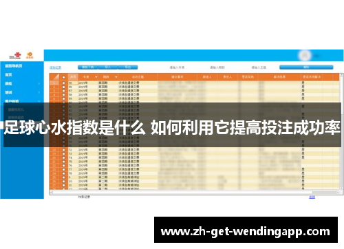足球心水指数是什么 如何利用它提高投注成功率 足球心水指数是什么 如何利用它提高投注成功率