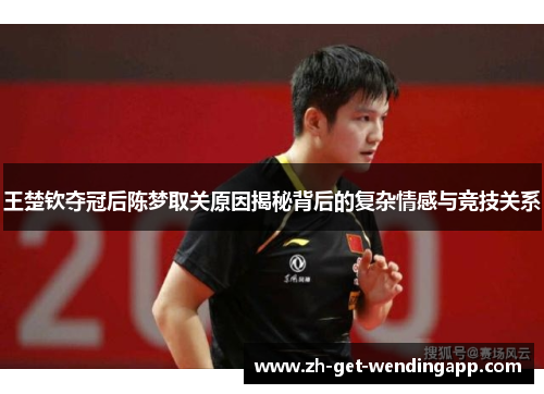 王楚钦夺冠后陈梦取关原因揭秘背后的复杂情感与竞技关系