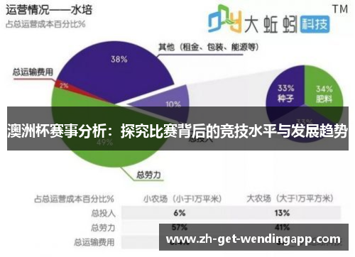 澳洲杯赛事分析:探究比赛背后的竞技水平与发展趋势 澳洲杯赛事分析:探究比赛背后的竞技水平与发展趋势