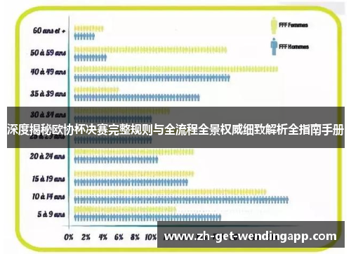 深度揭秘欧协杯决赛完整规则与全流程全景权威细致解析全指南手册