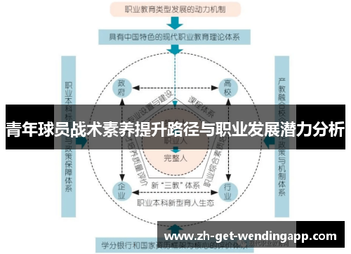 青年球员战术素养提升路径与职业发展潜力分析