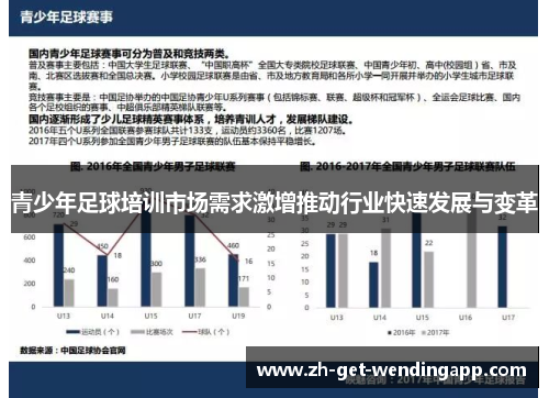 青少年足球培训市场需求激增推动行业快速发展与变革